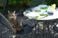 Bed and Breakfast Quattro Colli Hotel a Montechiarugolo