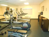 Holiday Inn Express & Suites PHOENIX - MESA WEST by IHG - Træningscentre