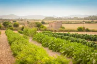 Finca Son Roig by Valentin