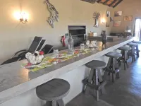 Balule Bushveld Safari Lodge