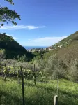 Villa Maddalena - Wifi
