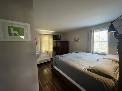 Winnipesauke dog/family friendly contemporary home