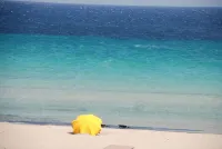 Apartment/ flat - Calasetta Hotels in Calasetta