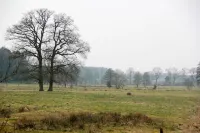 Relaxation and tranquillity in the countryside, large garden, dogs welcome Các khách sạn ở Kirchlinteln