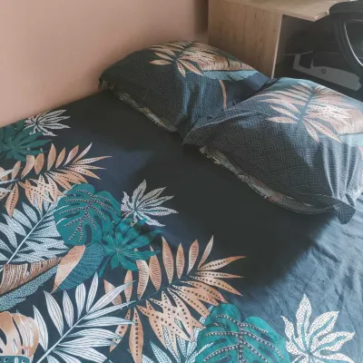 Rental Large T3 with terrace in Port Marianne Hotels in Port-Marianne