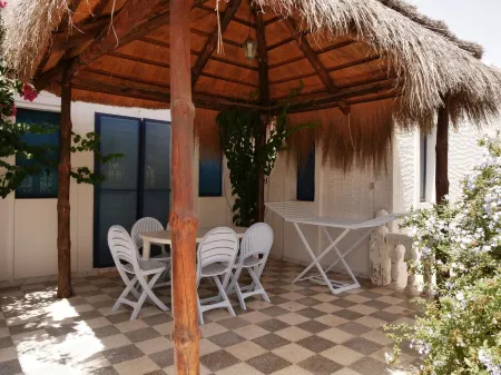 'DAR Leyla' CHARMING VILLA WITH POOL.... AT THE HEART OF THE DJERBIAN CAMPAIGN Отели в г. Mezraia