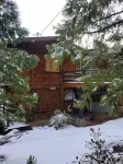 Ultimate family retreat in the Woods!
