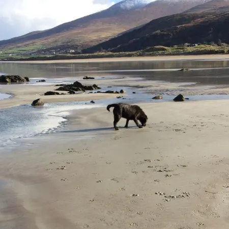SPECIAL WEEKLY DISCOUNTS! Traditional stone cottage in beautiful West Kerry