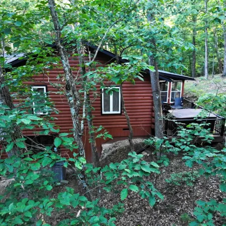 Cub Cabin on Massanutten Resort- Fully Renovated Log Cabin- Hot Tub & Fire Pit