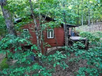 Cub Cabin on Massanutten Resort- Fully Renovated Log Cabin- Hot Tub & Fire Pit
