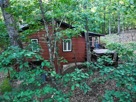 Cub Cabin on Massanutten Resort- Fully Renovated Log Cabin- Hot Tub & Fire Pit