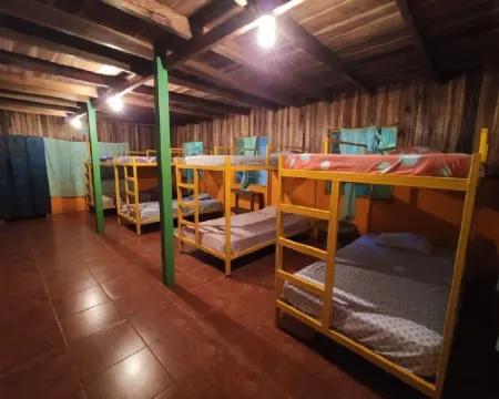 Madre Selva Jungle Hostel Hotels in Cocles