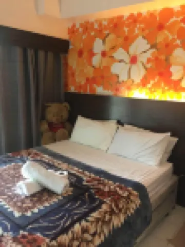 大雅台應首席公寓單元