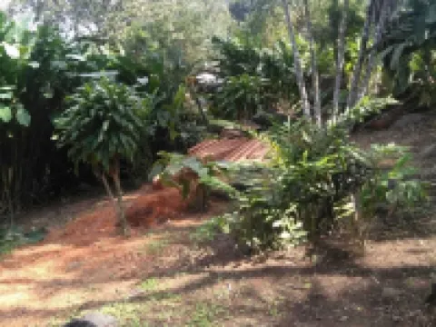 Nice House Natural Hoteles en Catemaco