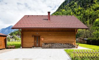 W & S Executive Apartments - Hallstatt II