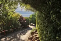 Eden Ramot Chalets - Pet friendly