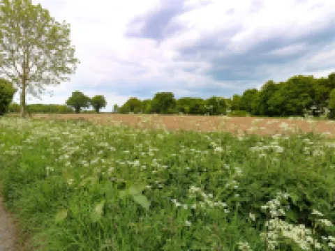 2 Lock Cottages Hotels in North Walsham