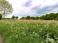 2 Lock Cottages Hotels in Mundesley