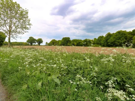 2 Lock Cottages Отели в г. Бактон