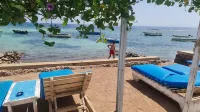 فندق البريمو دهب - إطلالة على البحر