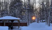 Chinook Wind Cabins Hotels in Talkeetna