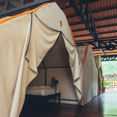 Habitat Surf Glamp
