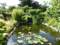 Liongate House Hotel di Martock