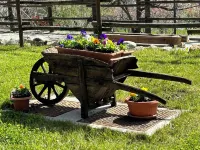 B&B Verger Plein Soleil - maisons de vacances