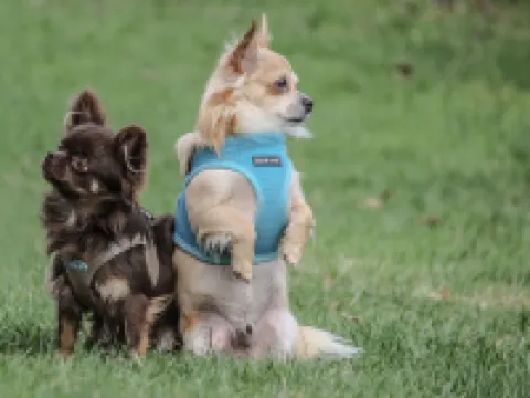 Hotel Near by Hotéis em Laatzen