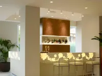 Virginia Palace Hotel - bar