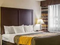 Comfort Inn Hotels in Birch Run