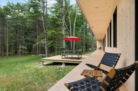 100ft of Forest Light - Modern Catskills Escape