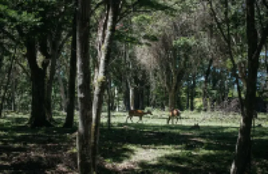 SANU 2nd Home 山中湖1st