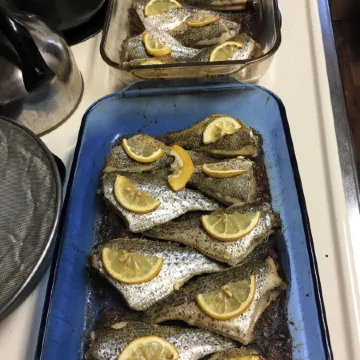 Cabin in Hardy on Kiwanie Lake with fishing boat & kayak, near Spring River