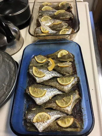 Cabin in Hardy on Kiwanie Lake with fishing boat & kayak, near Spring River