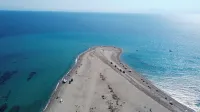 The Olive Path