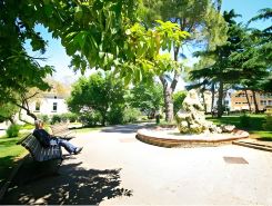 Downtown Apartments Pula