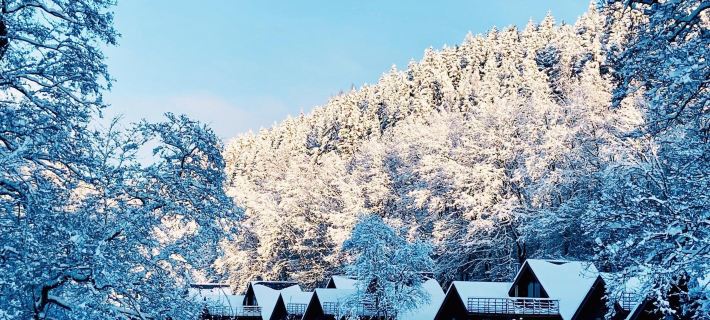 Ardennes Cottage Getaway for 4 Hotels in Malmedy