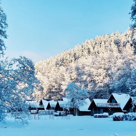 Ardennes Cottage Getaway for 4