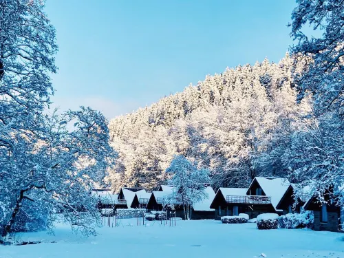 Ardennes Cottage Getaway for 4