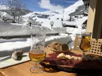 Mountain Lodge Sedrun Hotel di Andermatt