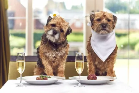 The Green Dragon at Bedale Отели в г. Снейп вит Торп