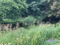 Charming 3-Bedroom Cottage in Worthing, Norfolk – Sleeps up to 8. Các khách sạn ở Dereham