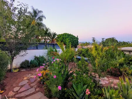 Fallbrook Oasis - Family and dog retreat
