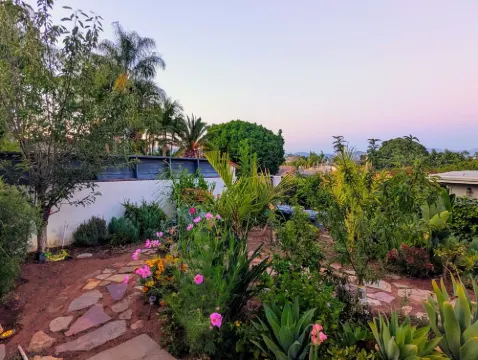 Fallbrook Oasis - Family and dog retreat