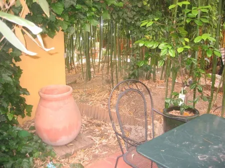 Maison D'artiste Avec Bambouseraie Enchanteresse aux Portes de Paris Отели в г. Кашан