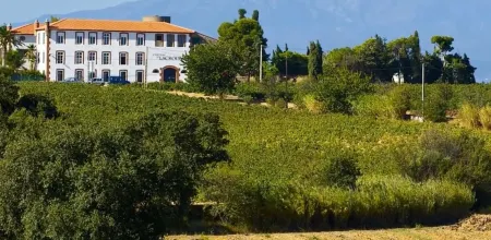 Aile de Château Avec Piscine au Milieu des Vignes, à 10 mn des Plages