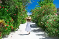 Comfort Hotel Era Ishigaki Island - Wifi