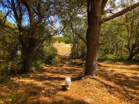 Argyles Place 3 beds/Spa bath/kitchen pet friendly