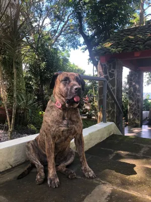 This Villa is perfect for those seeking an unforgettable vacation experience. Hotels in 